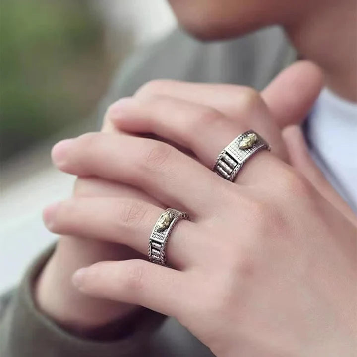 Anillo de pareja de ruedas de oración de riqueza FengShui PiXiu de la suerte
